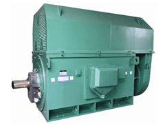Y4505-4/630KWY系列6KV高压电机