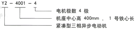 YR系列(H355-1000)高压Y4505-4/630KW三相异步电机西安西玛电机型号说明